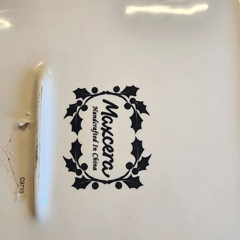 Maxcera SNOWVILLE Square Serving Dinner Plate 11